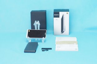 日本數(shù)字音頻播放器購買指南與技術(shù)發(fā)展趨勢(shì)